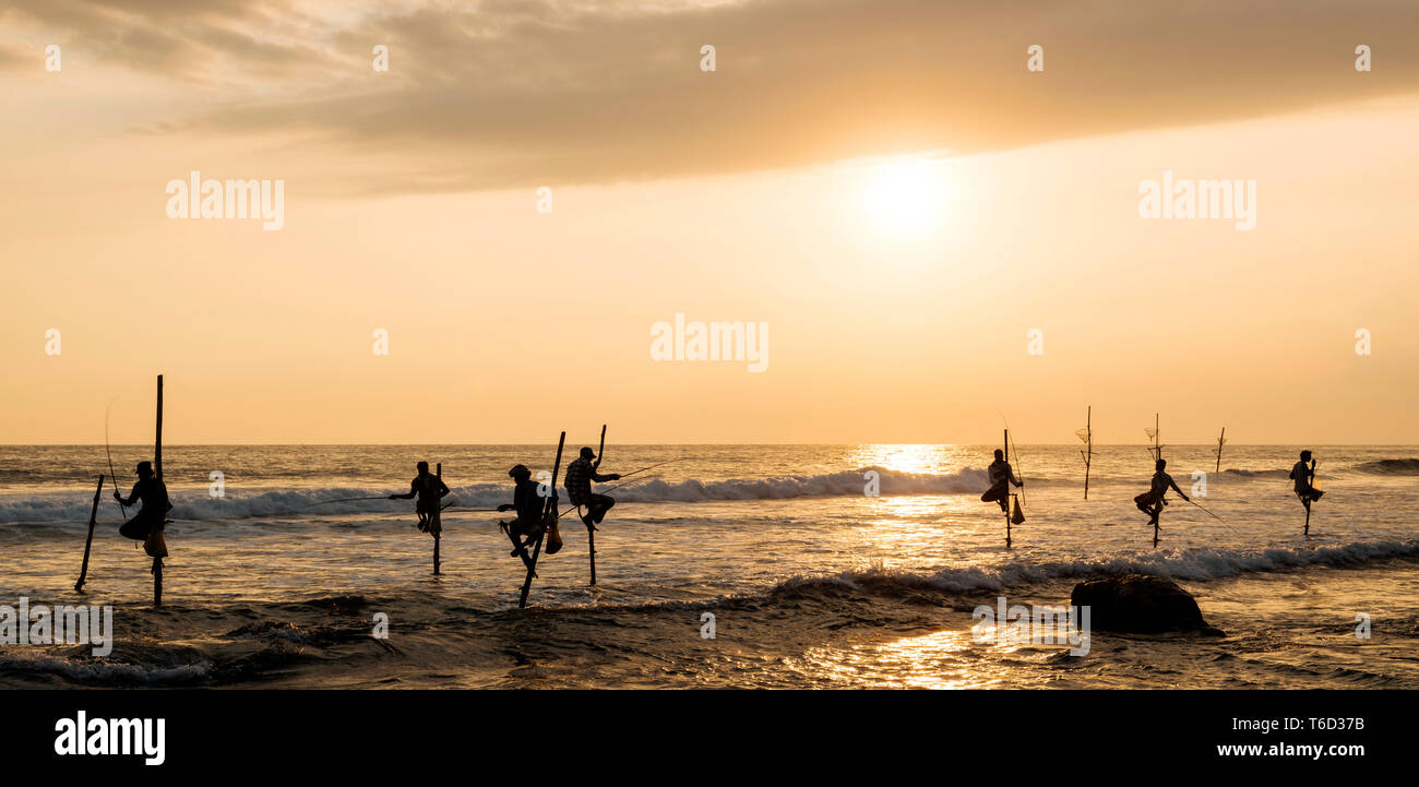 Stilt Fishermen at dusk, Weligama, South Coast, Sri Lanka, Asia Stock Photo
