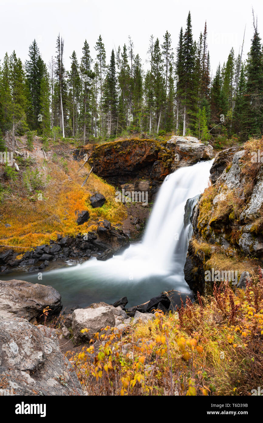 Moose falls, Crawfish Creek, Yellowstone National Park, Wyoming, USA Stock Photo