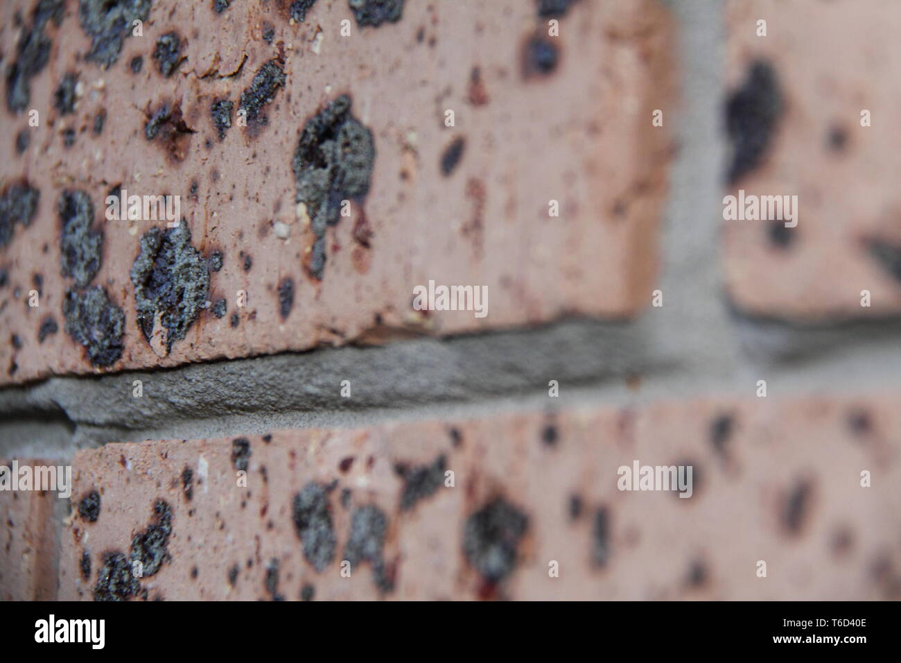 Close-Up View of Brick Wall of Apartment Building, Gold Coast, Australia Stock Photo