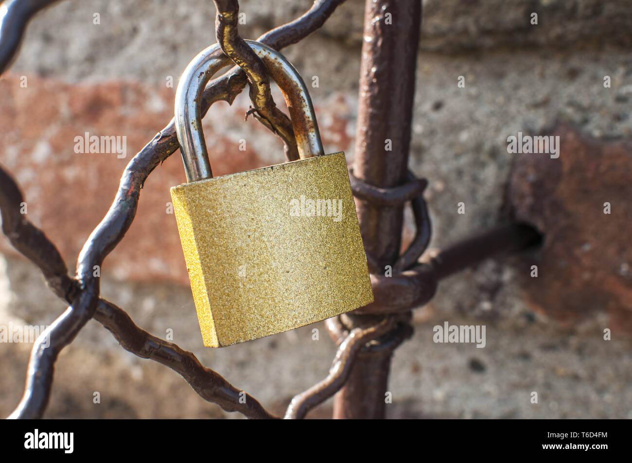 Metal padlock locked on weathered vintage metal mesh closeup Stock Photo