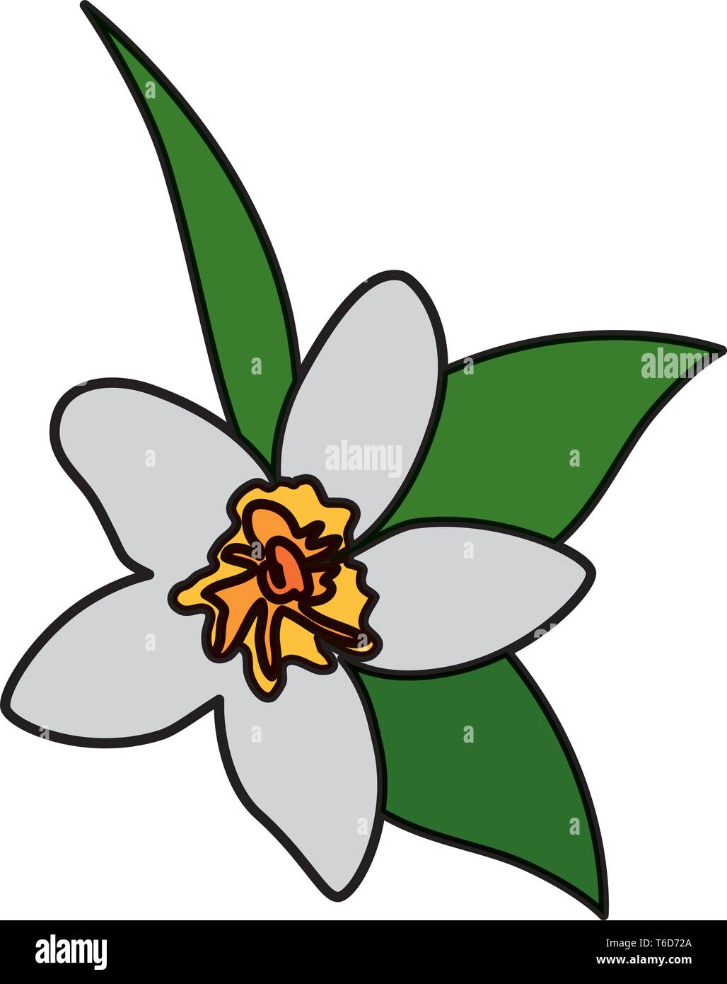 exotic tropical flower and leafs Stock Vector Image & Art - Alamy