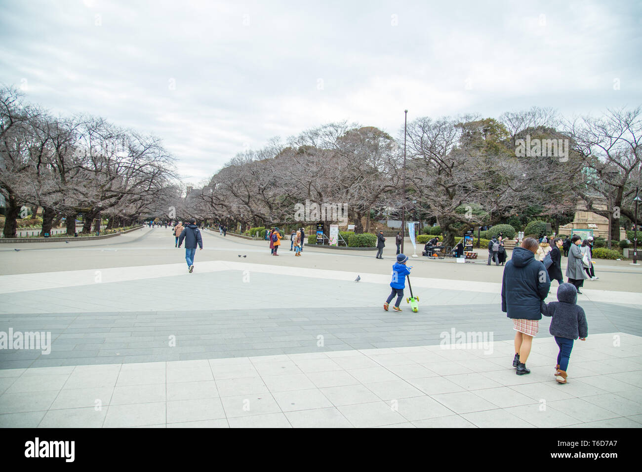 TOKYO, JAPAN - FEBRUARY 8, 2019: Unidentified people walking around Ueno Onshi Park. Ueno Park is a public park in Ueno area, northern Tokyo. The park Stock Photo
