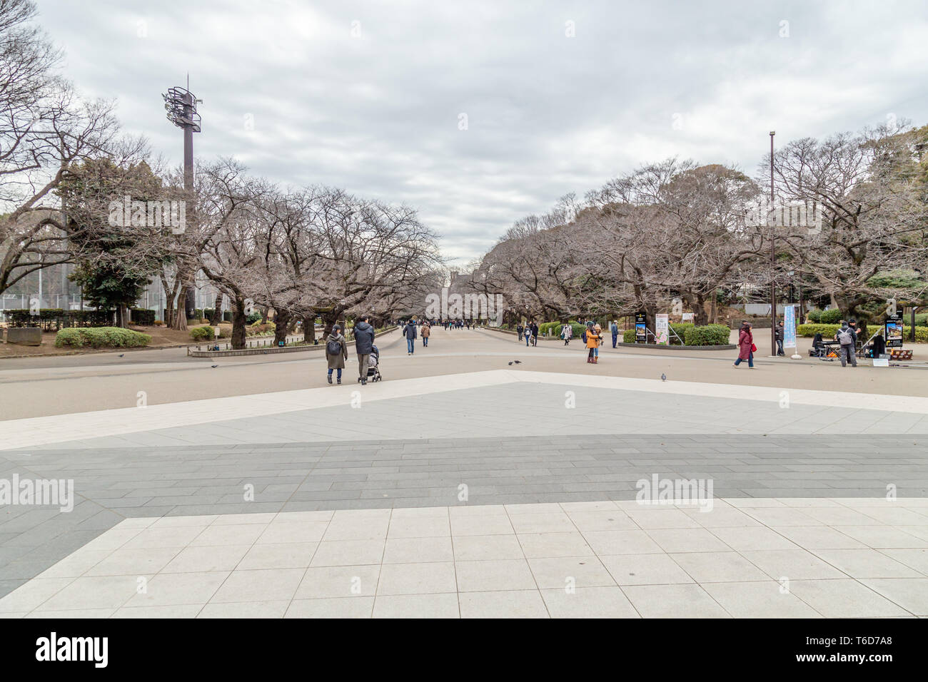 TOKYO, JAPAN - FEBRUARY 8, 2019: Unidentified people walking around Ueno Onshi Park. Ueno Park is a public park in Ueno area, northern Tokyo. The park Stock Photo