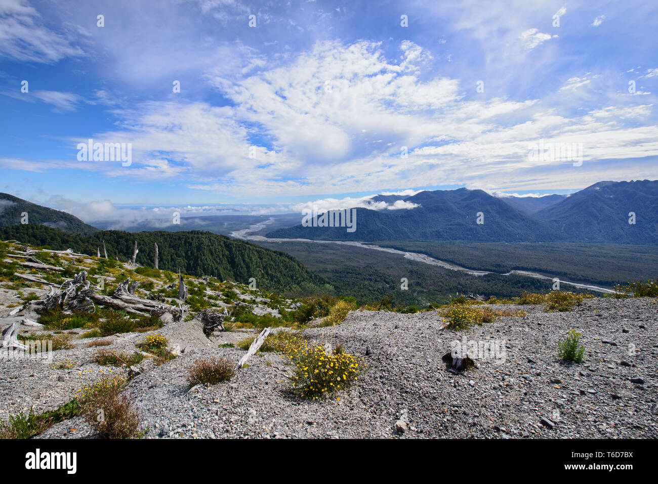 At the Chaitén volcano, Pumalin National Park, Patagonia, Chaitén, Chile Stock Photo