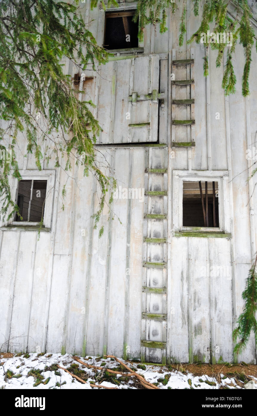 white barn door falling off hinges Stock Photo Alamy