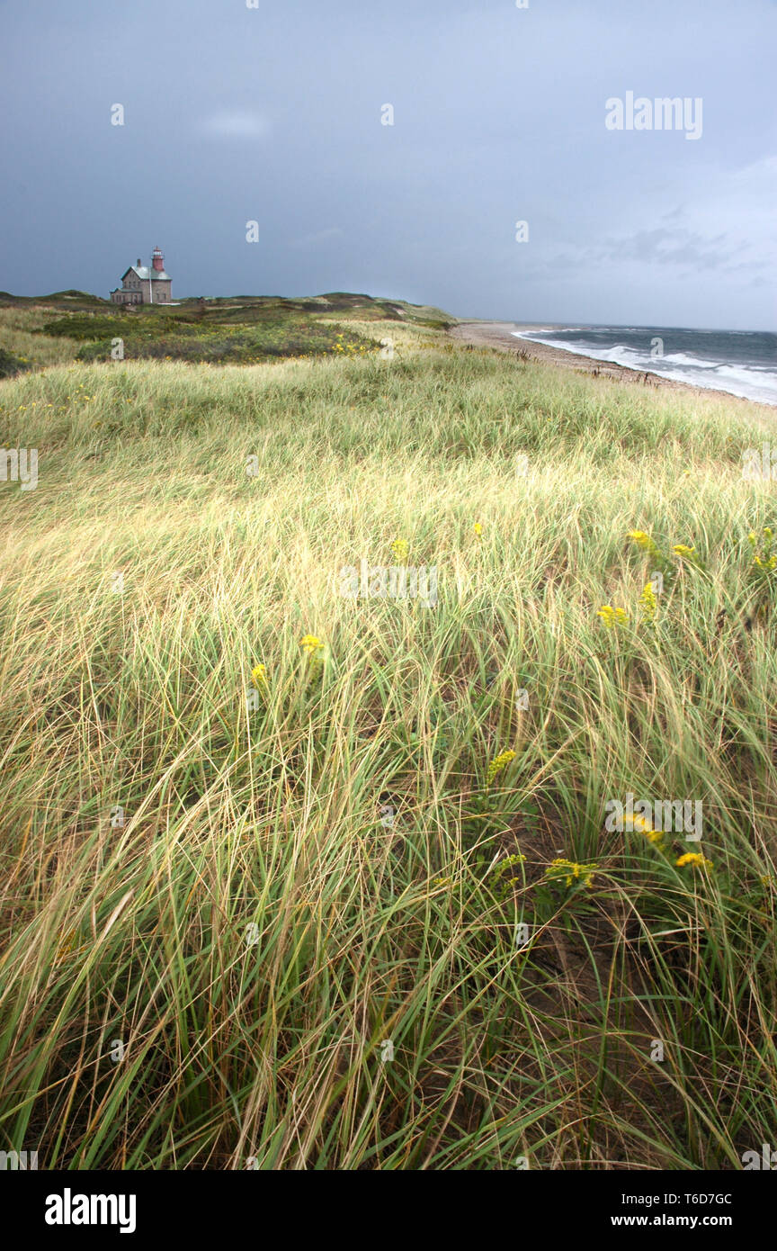 meadow grass with lighthouse and ocean in the distance Stock Photo