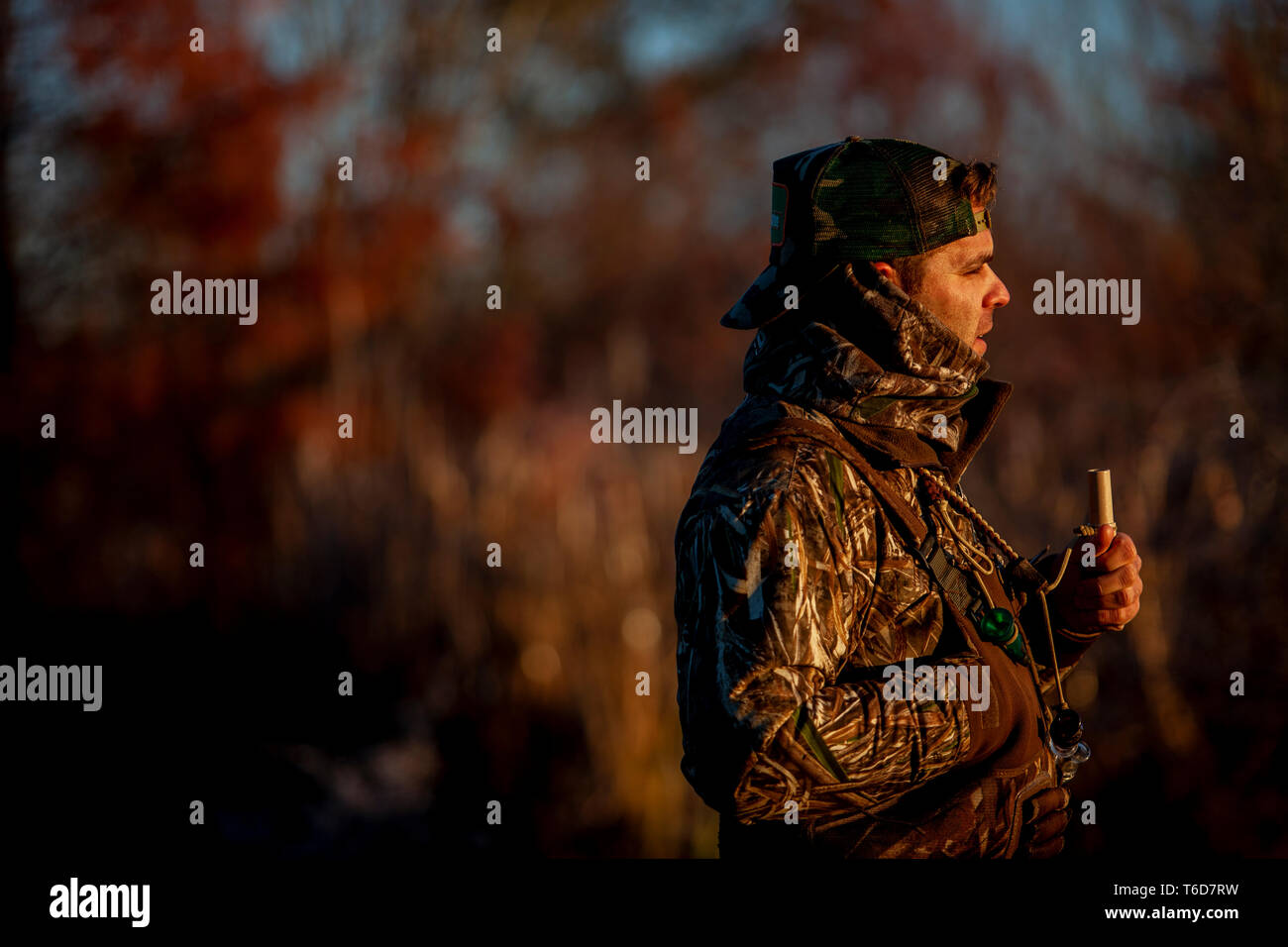 Duck hunter Calling to ducks Stock Photo Alamy