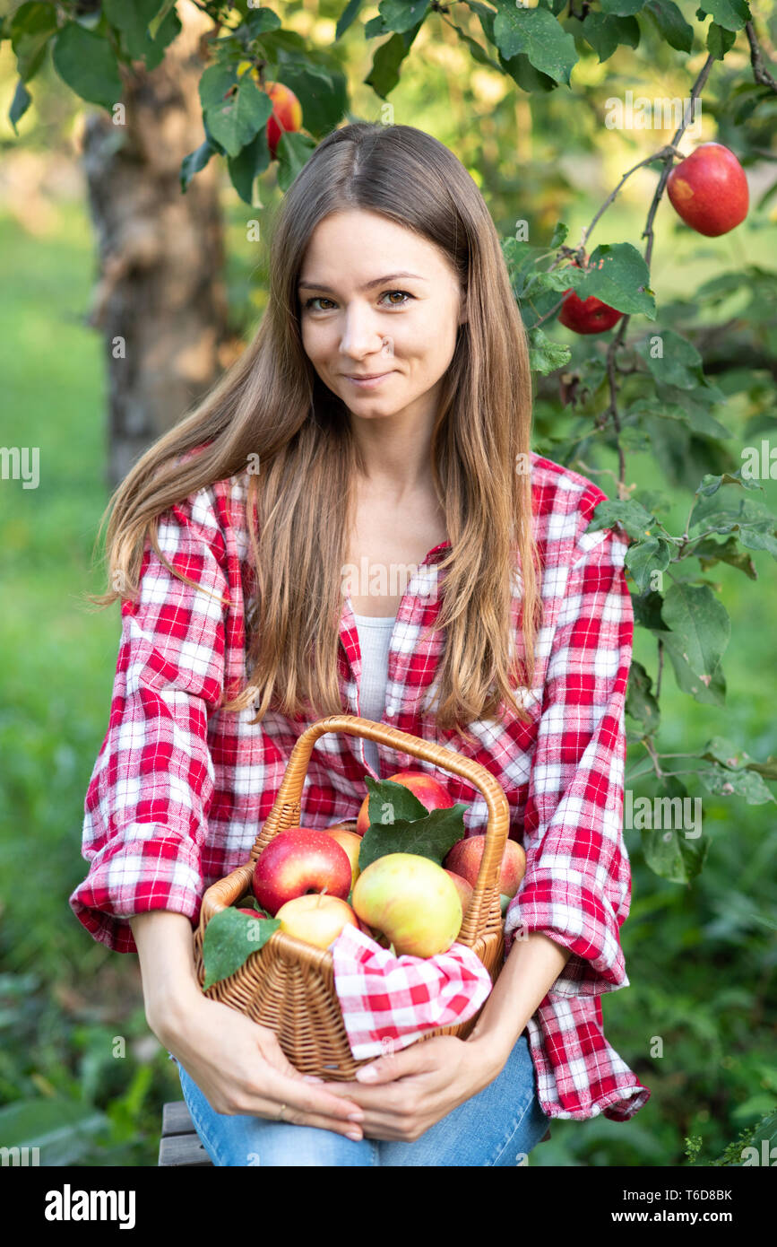 https://c8.alamy.com/comp/T6D8BK/beautiful-girl-picking-ripe-organic-apples-in-basket-in-orchard-or-on-farm-on-fall-day-harvest-concept-garden-woman-with-basket-full-of-ripe-apples-T6D8BK.jpg