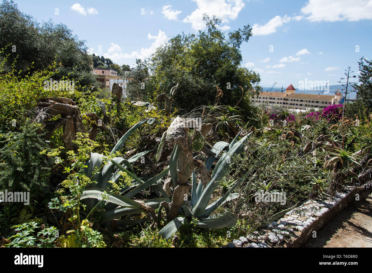 Botanical gardens in Gibraltar Stock Photo - Alamy