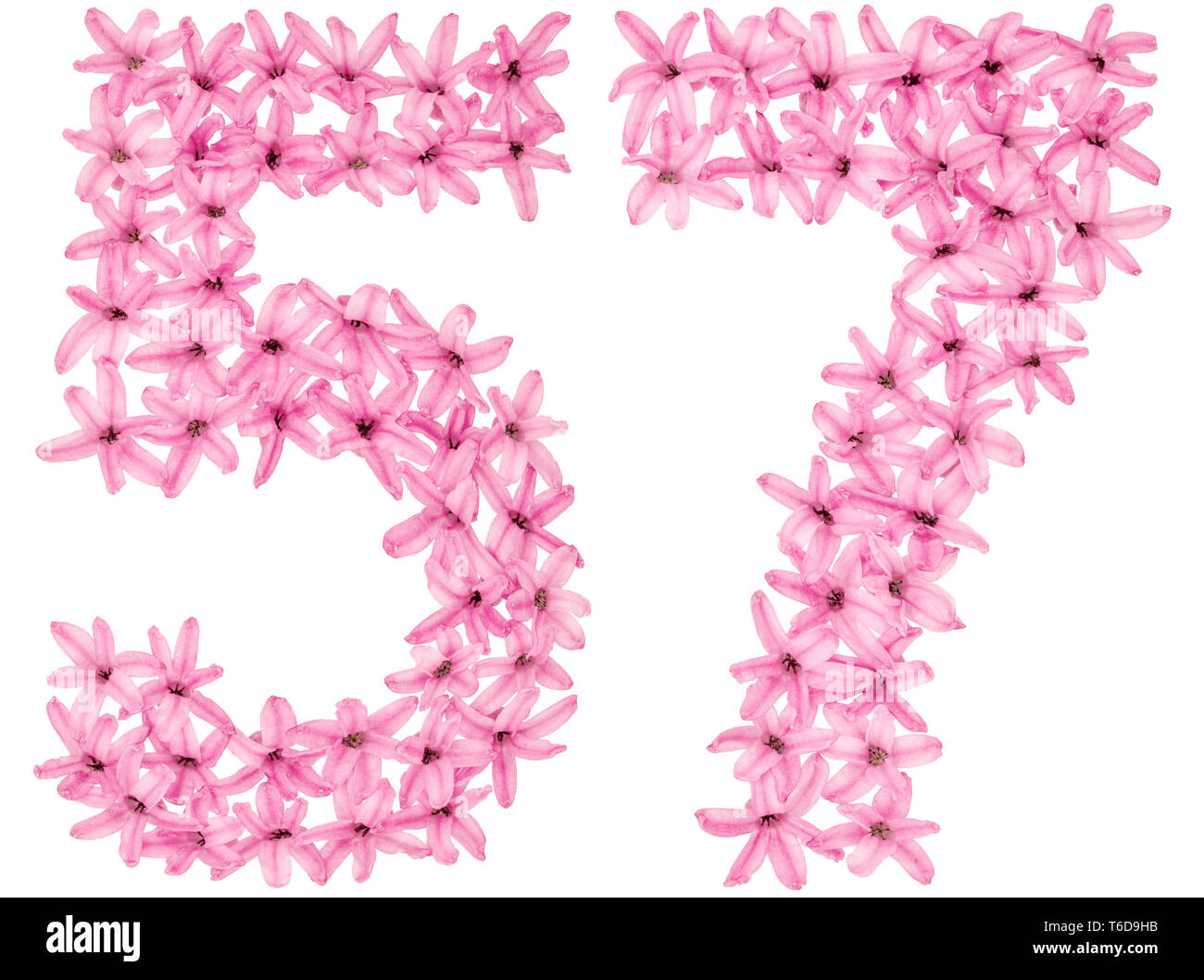 Tag 57 Numeral 57, fifty seven, from natural flowers of hyacinth, isolated on ...