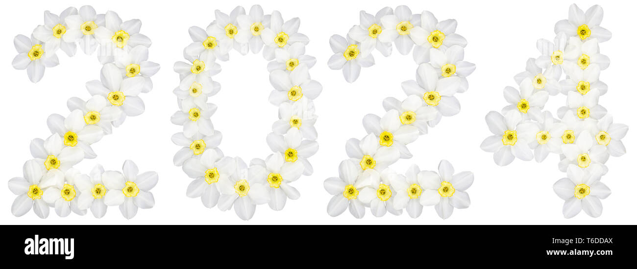 Inscription 2024 From Natural White Flowers Of Daffodil Narcissus   Inscription 2024 From Natural White Flowers Of Daffodil Narcissus Isolated On White Background T6DDAX 