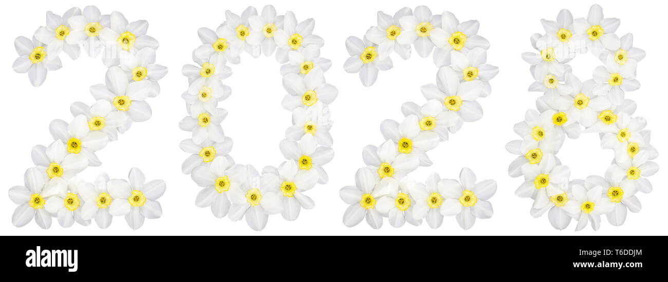 Inscription 2028, from natural white flowers of Daffodil (narcissus), isolated on white background Stock Photo