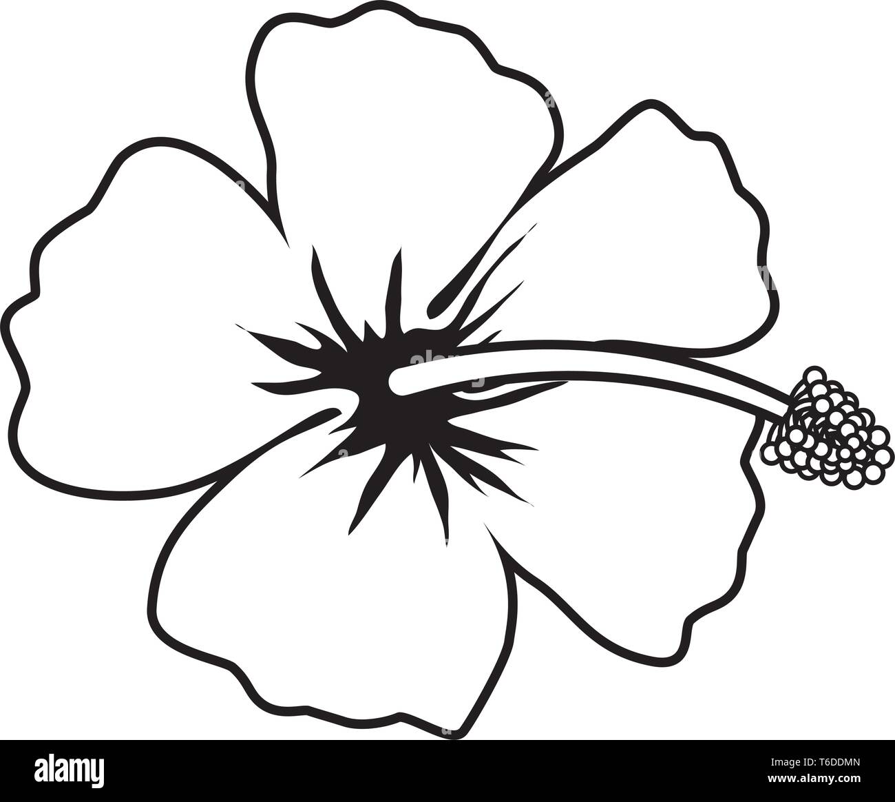 exotic tropical flower icon Stock Vector Image & Art - Alamy