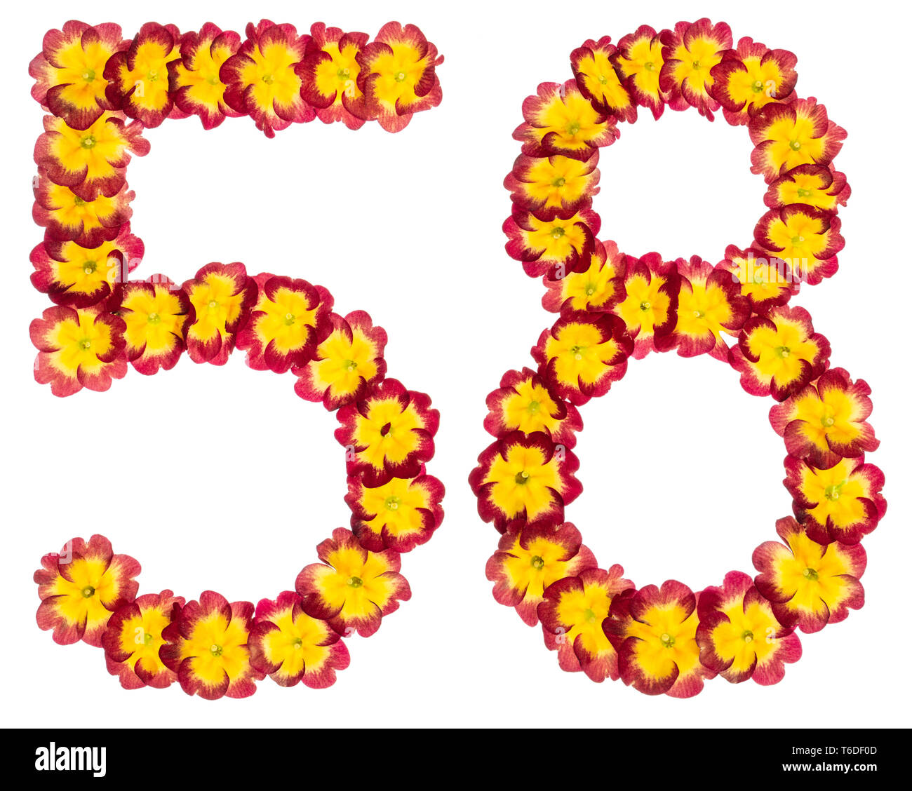 Numeral 58 Fifty Eight From Natural Flowers Of Primula Isolated On numeral-58-fifty-eight-from-natural-flowers-of-primula-isolated-on