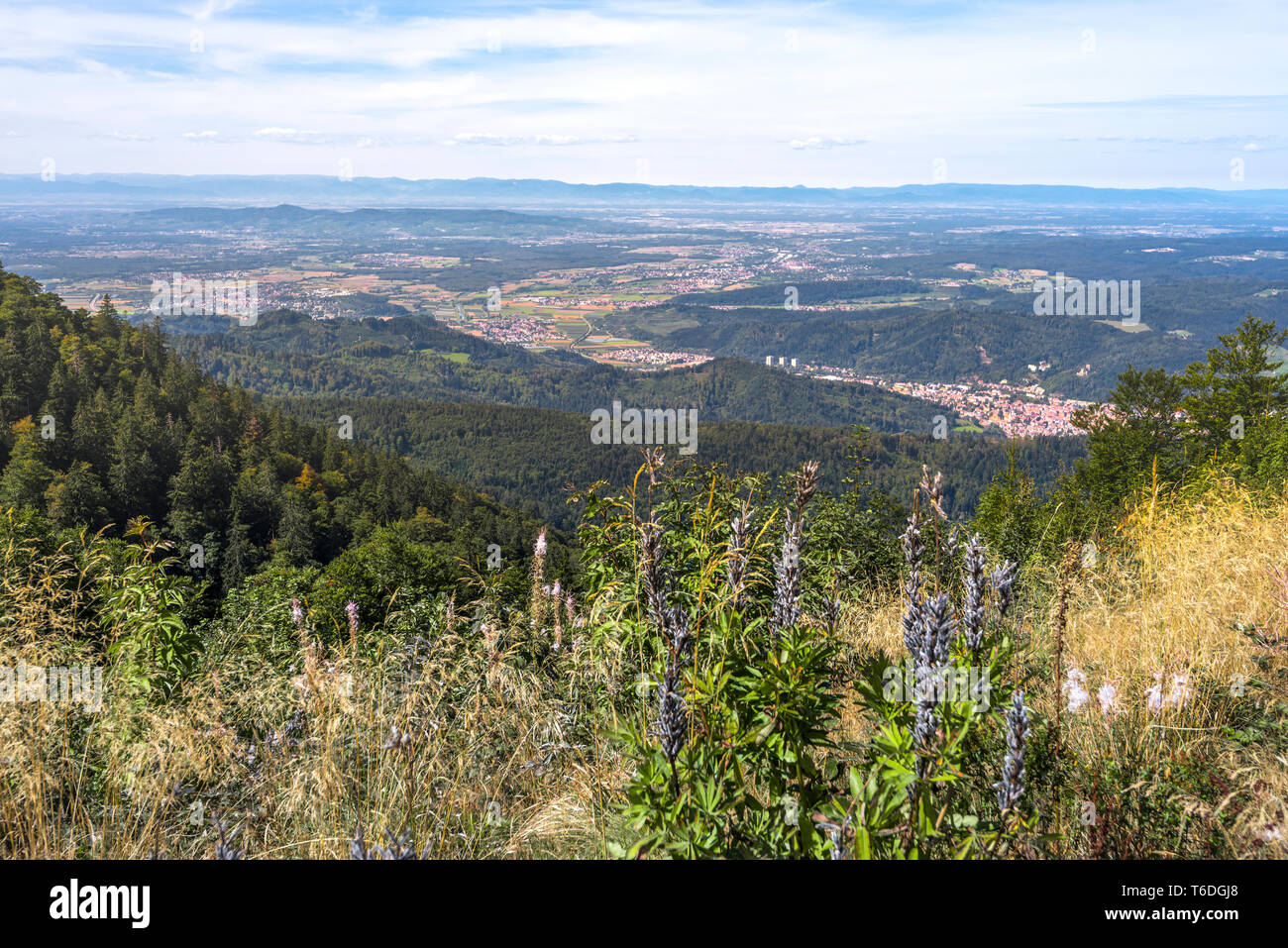 view from mountain Kandel to the town Freiburg im Breisgau and the Rhine valley, Germany, Central Black Forest Stock Photo