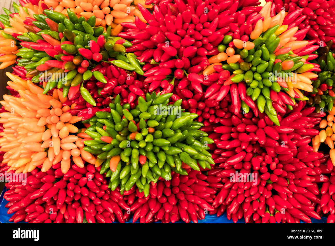 Orange Colour Chillies High Resolution Stock Photography and Images - Alamy