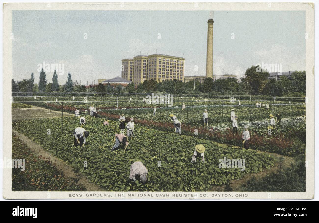 Postcard with a color image of the National Cash Register Company's Boys' Garden, with several boys in the foreground, bending over to tend verdant plots of land, and with the National Cash Register Company's offices, factory buildings, and chimney stack visible in the background; located in Dayton, Ohio, 1914. From the New York Public Library. () Stock Photo