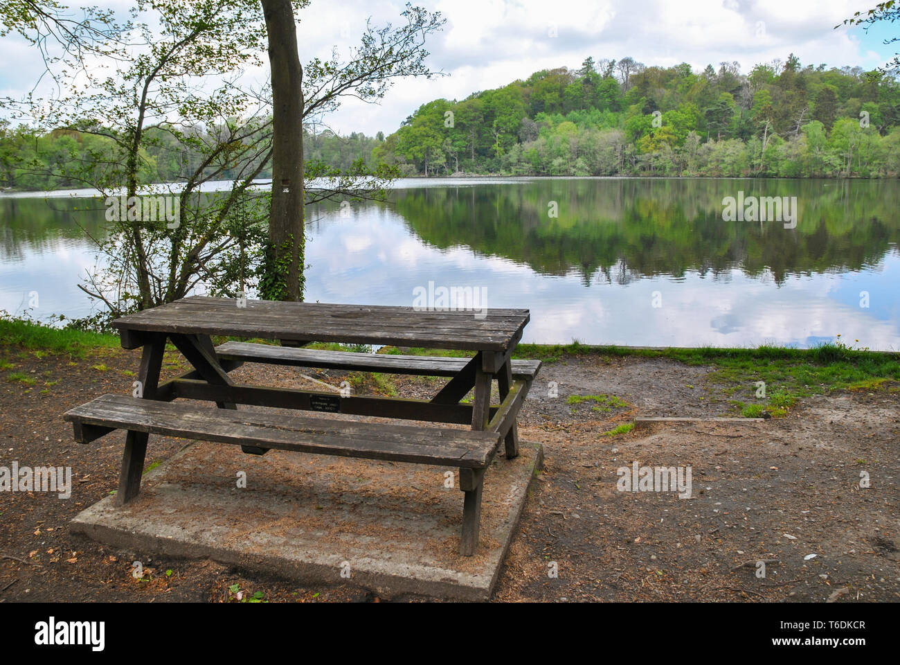 A picnic bench situated at the side of a beautiful lake in the English countryside Stock Photo