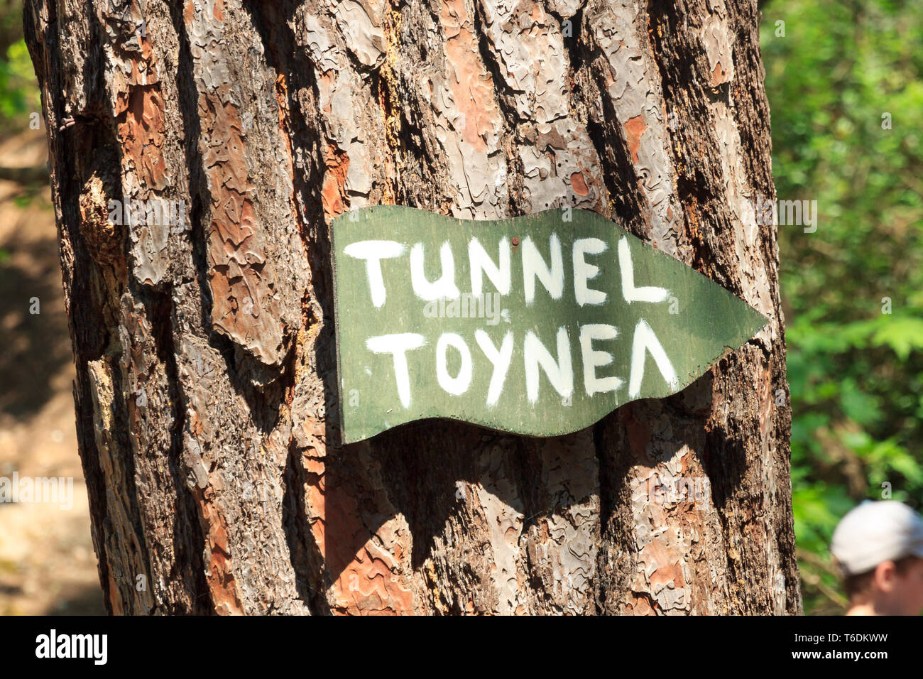 Schild grün am Baum, Wegweiser Epta Piges, Weg zum Tunnel Rhodos Griechenland / Sign on tree, signpost, way to tunnel, rhodes, greece Stock Photo