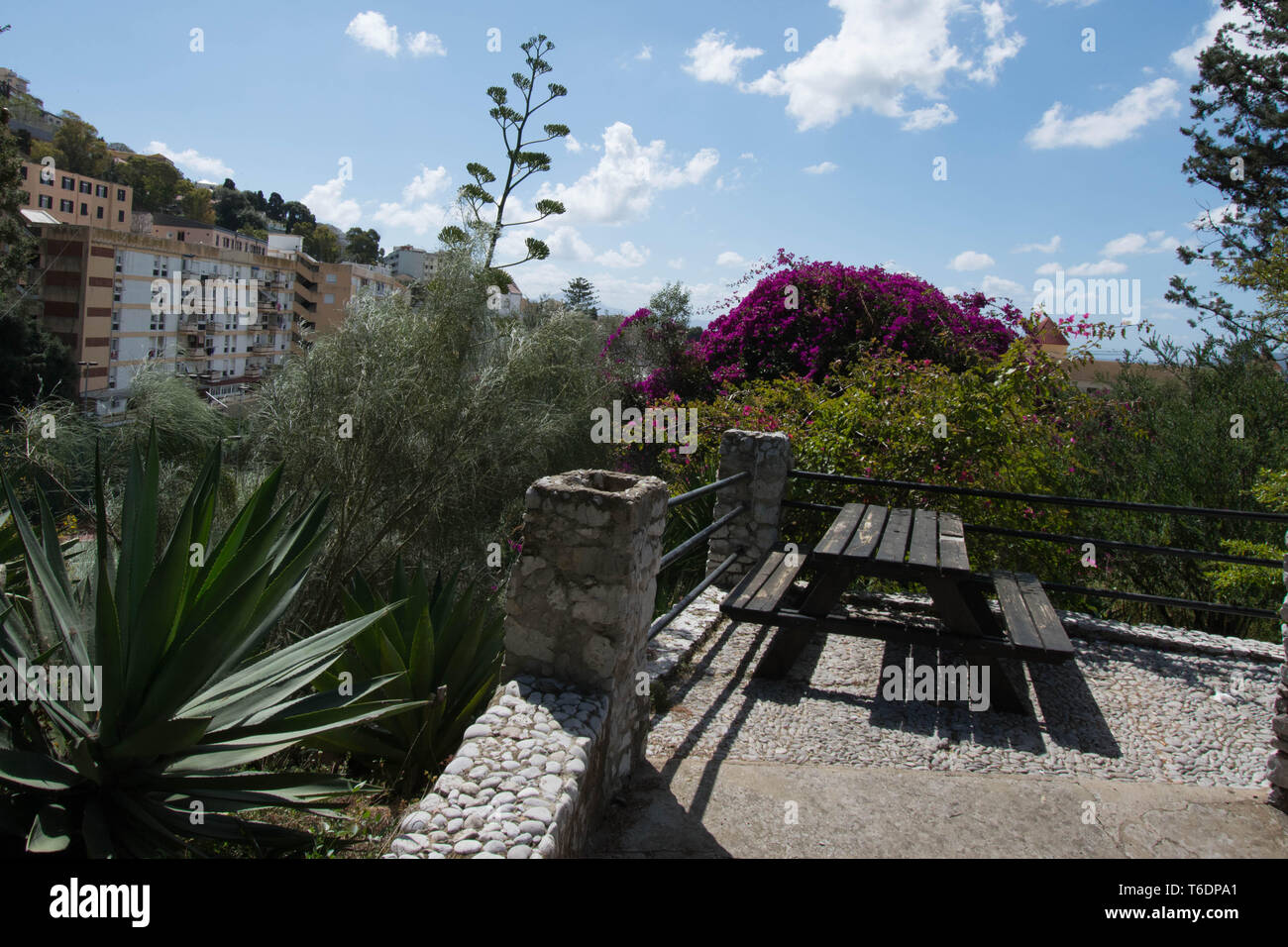 Gibraltar botanic garden hi-res stock photography and images - Alamy