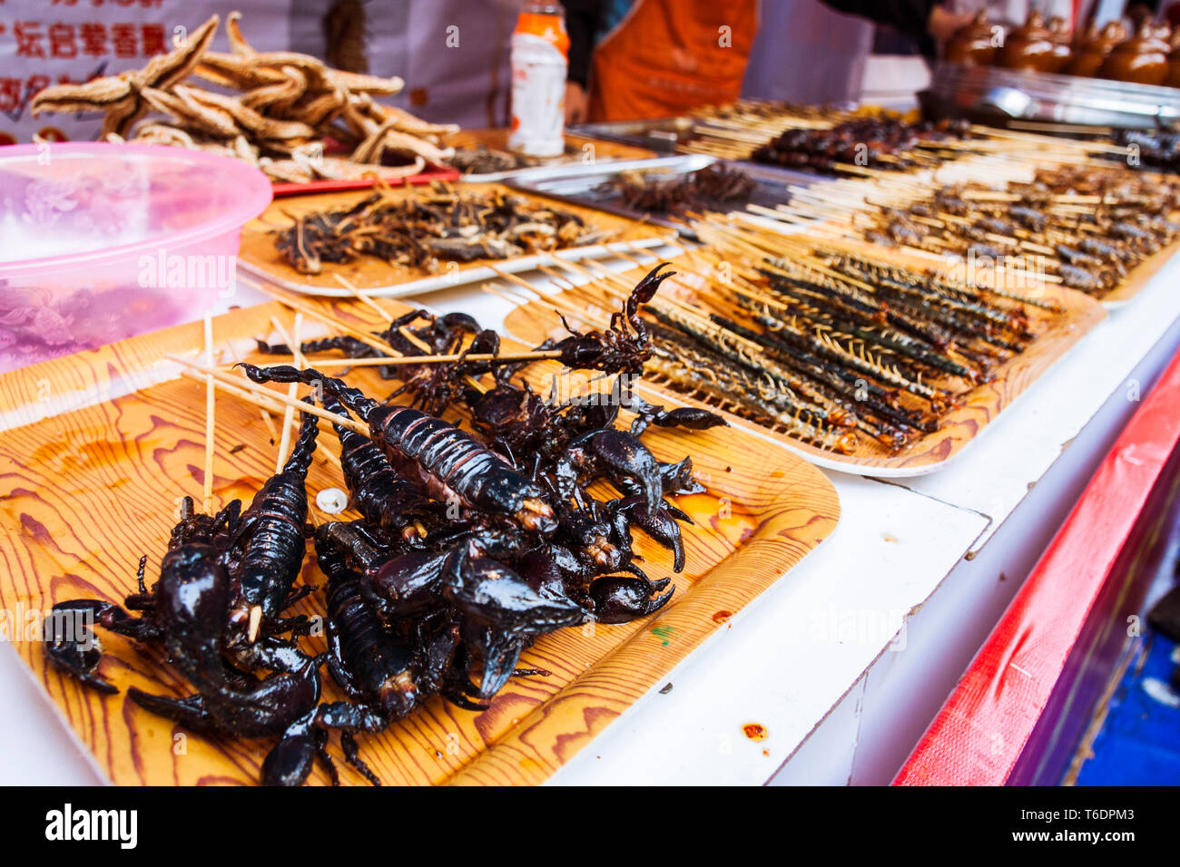 Chengdu Insects Chengdu, Sichuan province, China : Skewered scorpions and insects ...