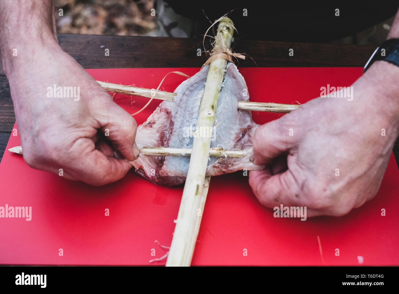 High angle close up of person preparing fish on wooden skewers for grilling cooking outdoors on a camp fire, bush craft Stock Photo
