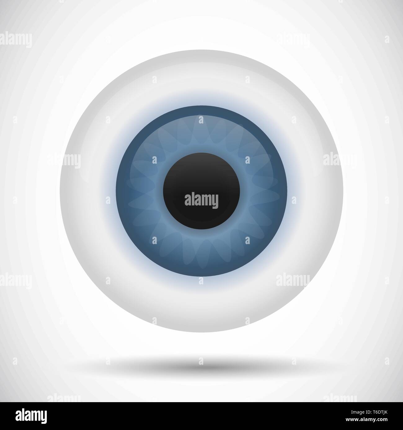 Vector illustration of an detailed blue eyeball and iris Stock Vector