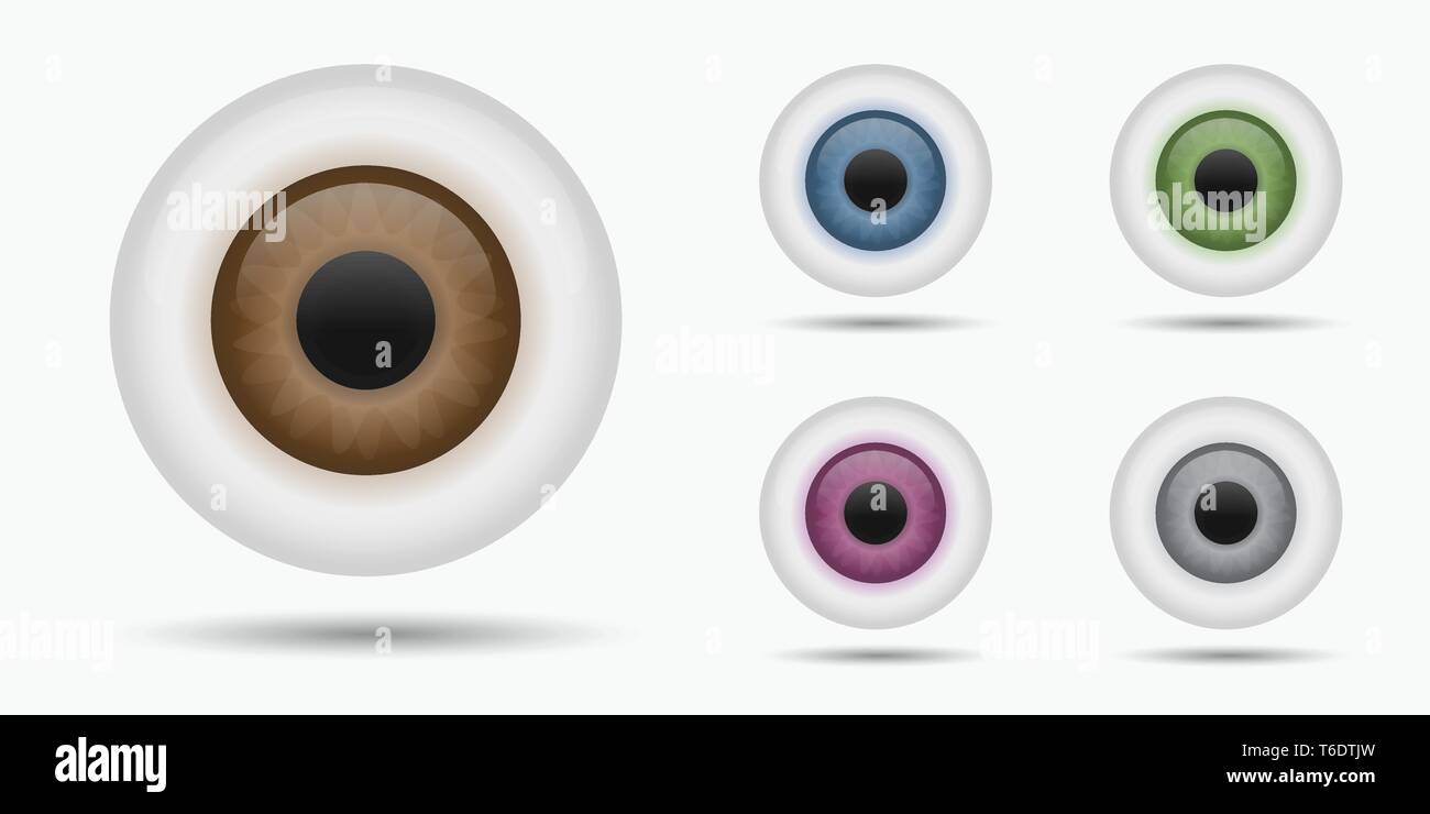 Different coloured eyeballs and iris Vector illustrations Stock Vector