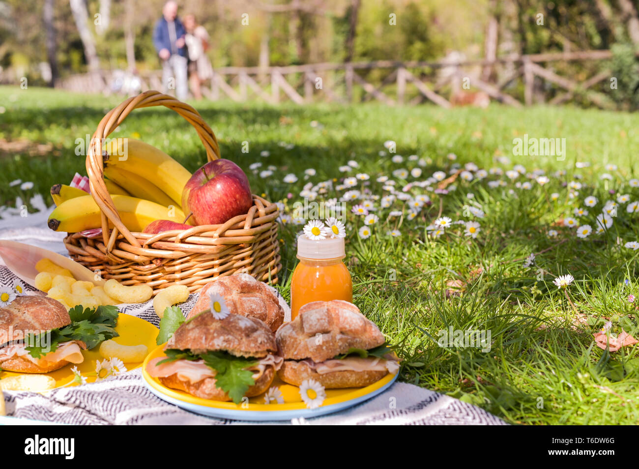 Fruit basket and picnic snacks. Sunny day in the park and green grass ...
