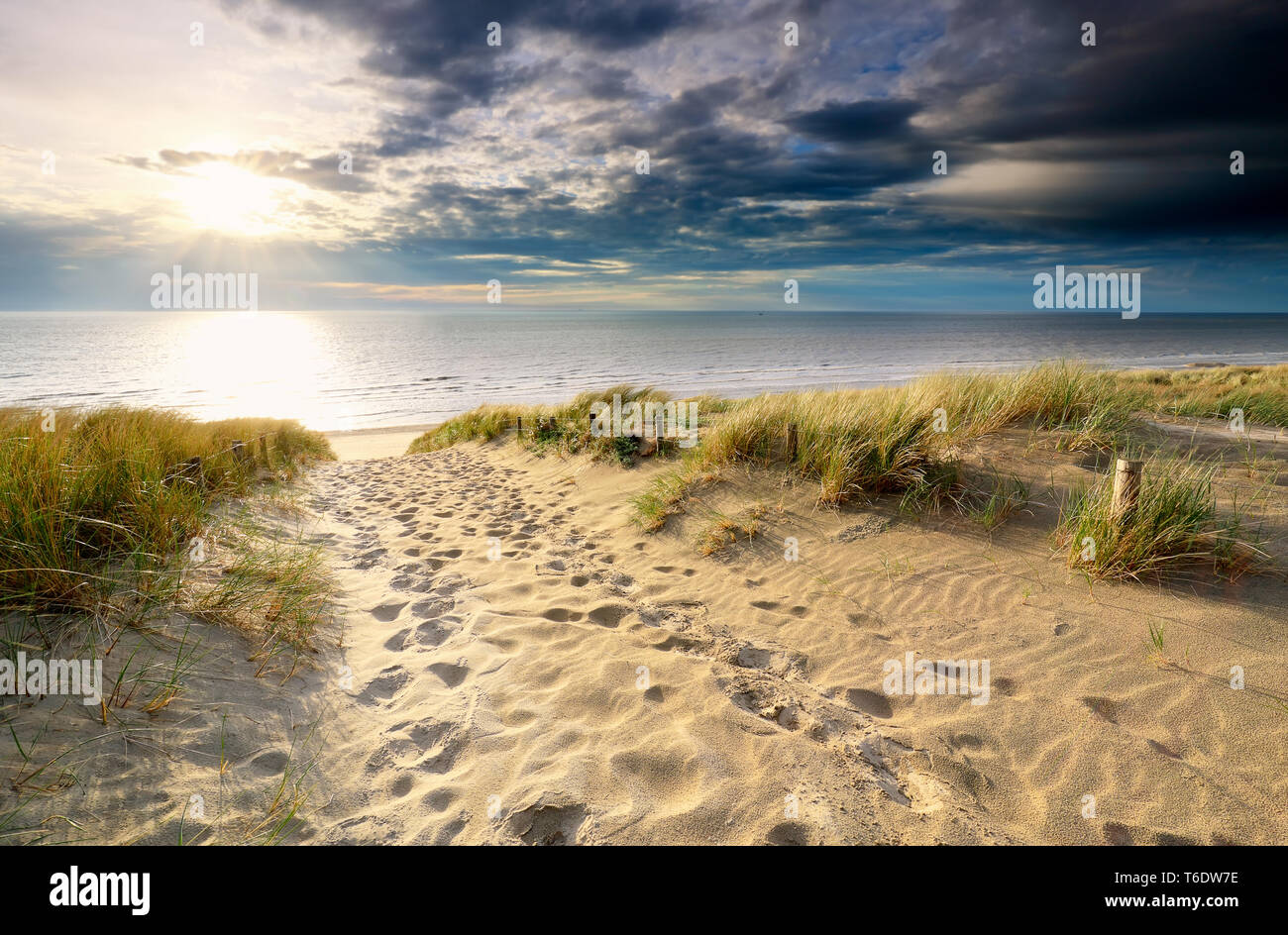 sand path to north sea beach in sunshine, Holland Stock Photo - Alamy