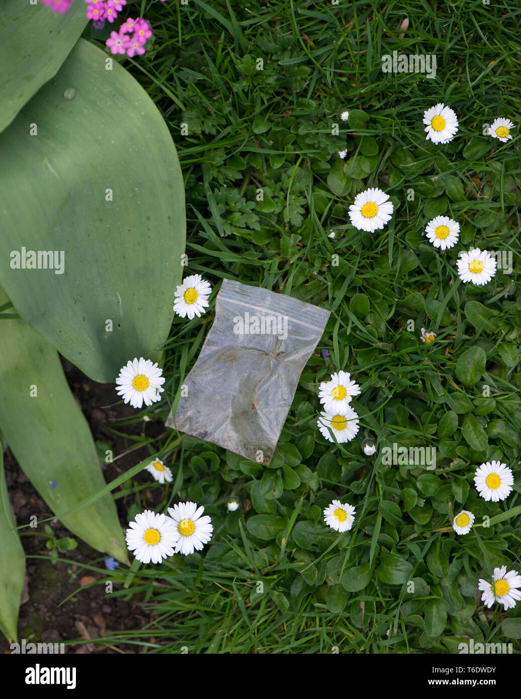 Discarded drug bags left in park Stock Photo