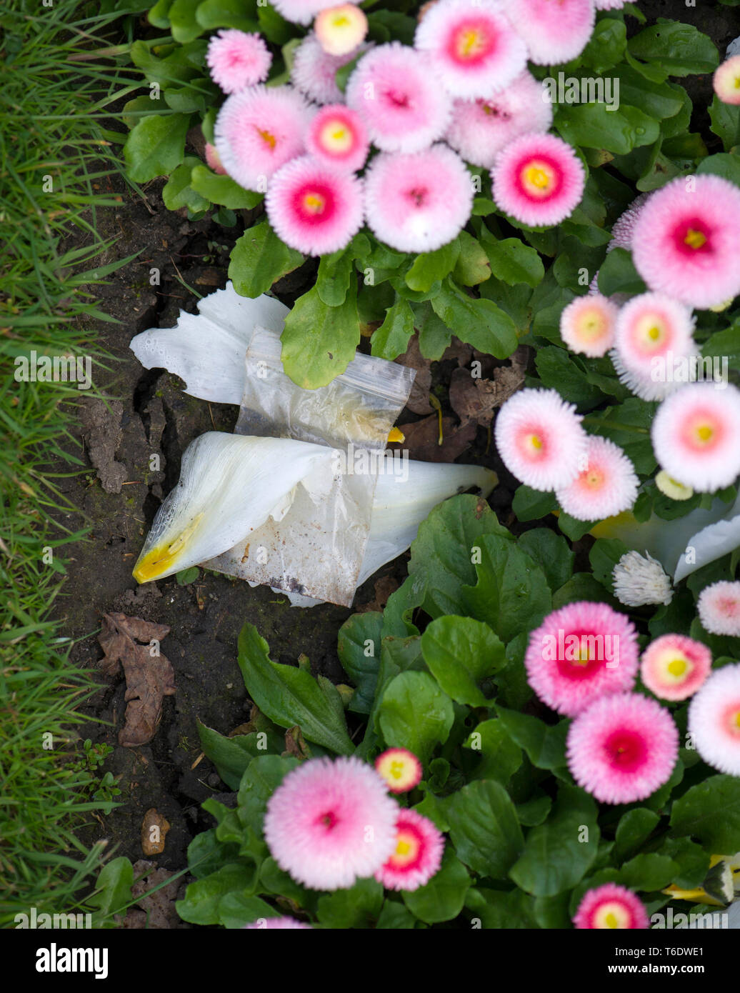 Discarded drug bags left in park Stock Photo