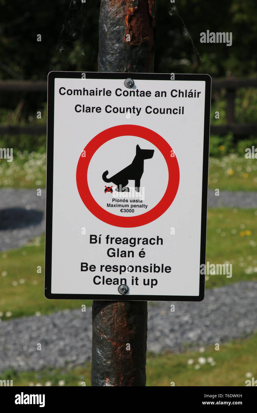 Is There A Fine For Not Picking Up Dog Poop