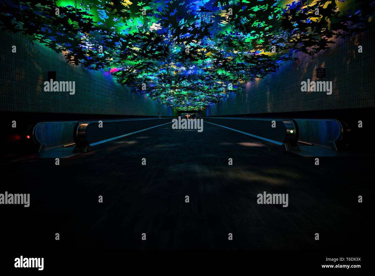 Horizontal escalators with amazing colorful glass ceiling interior