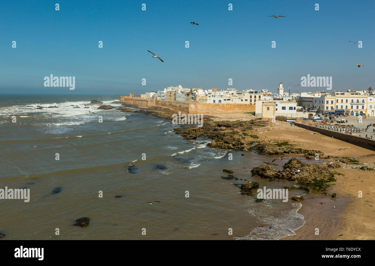Seagulls fly over ocean hi res stock photography and images Alamy