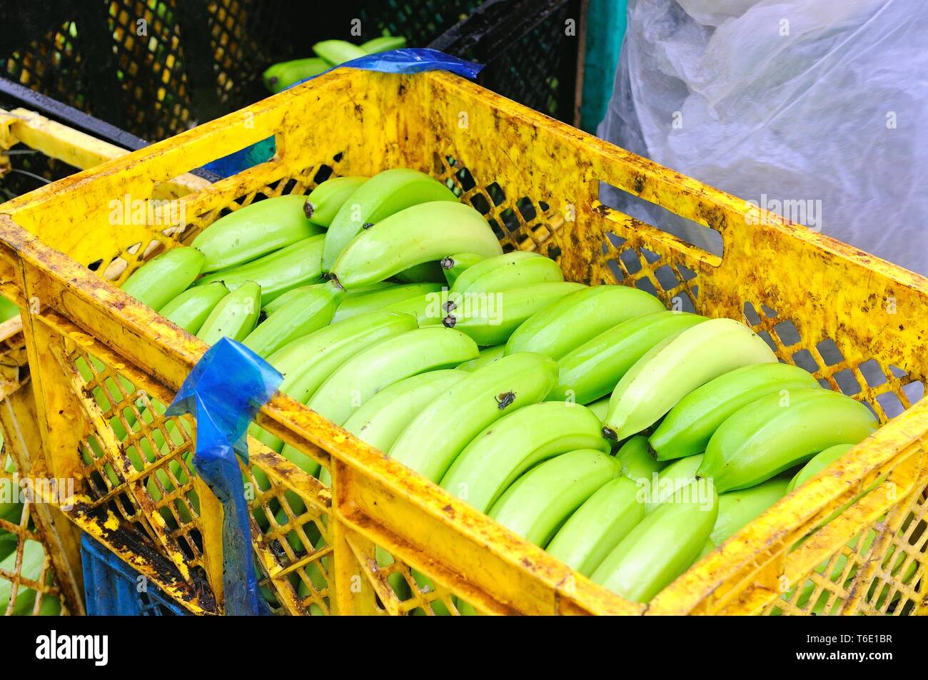 Box of bananas hires stock photography and images Alamy