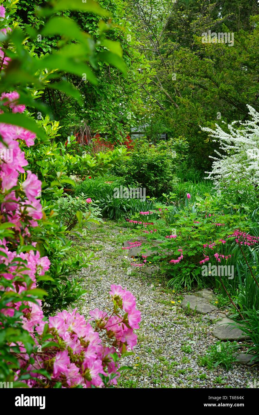 A Gravel Path In A Romantic Cottage Garden In Spring Stock Photo