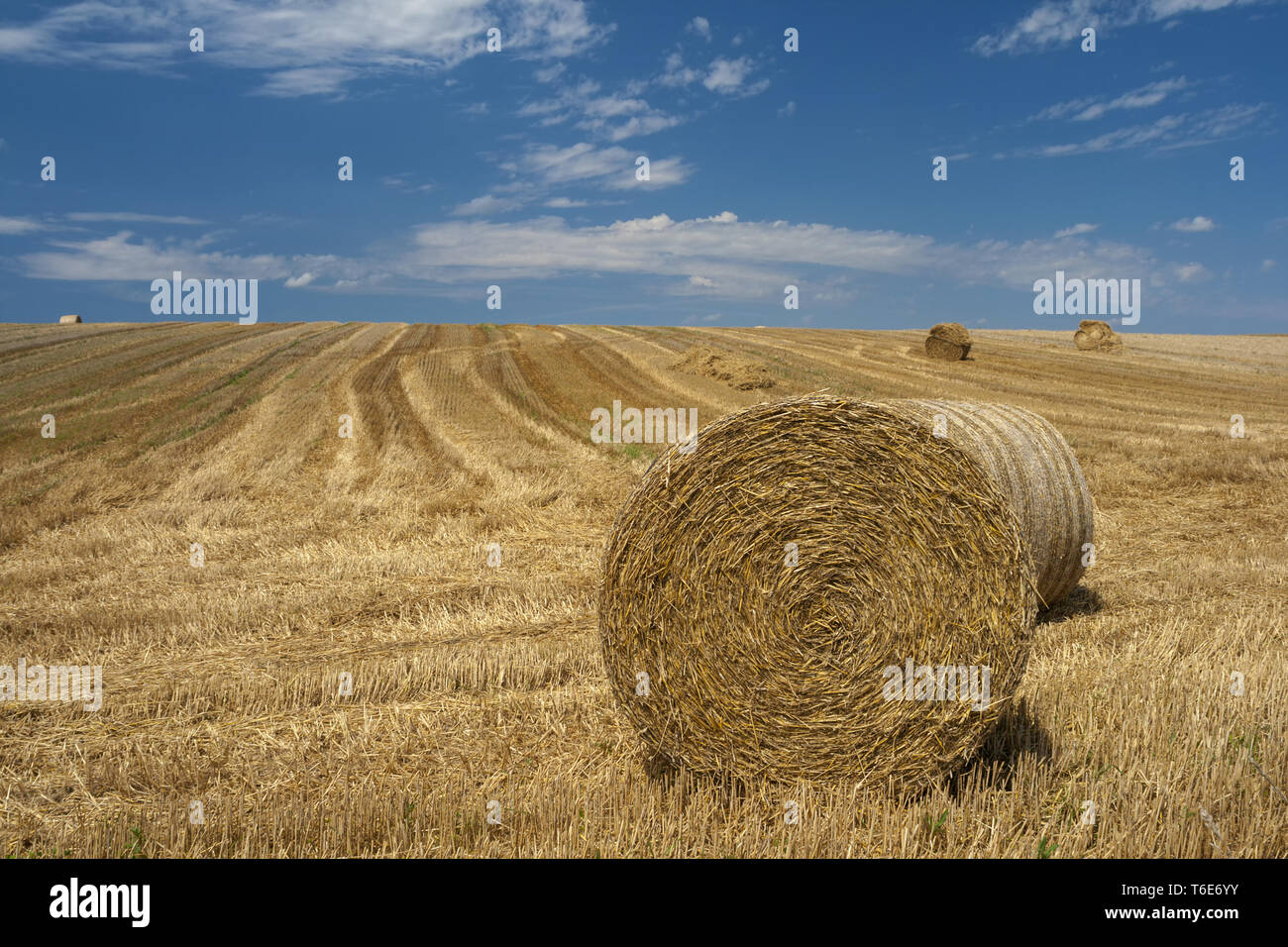 Straw bales on stubble field er Stock Photo - Alamy