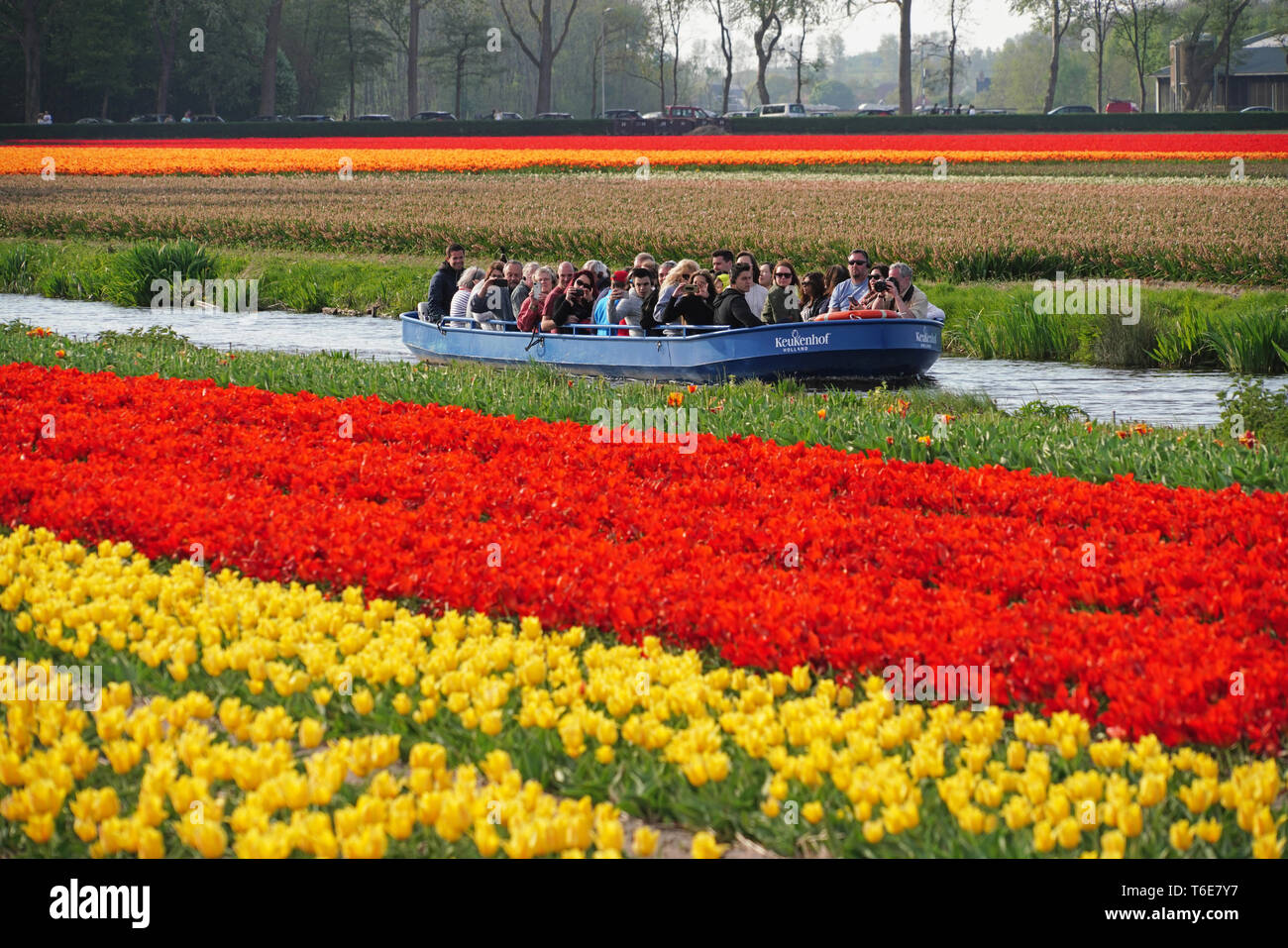 Keukenhof Gardens Boat Tour through tulip fields in spring in Holland