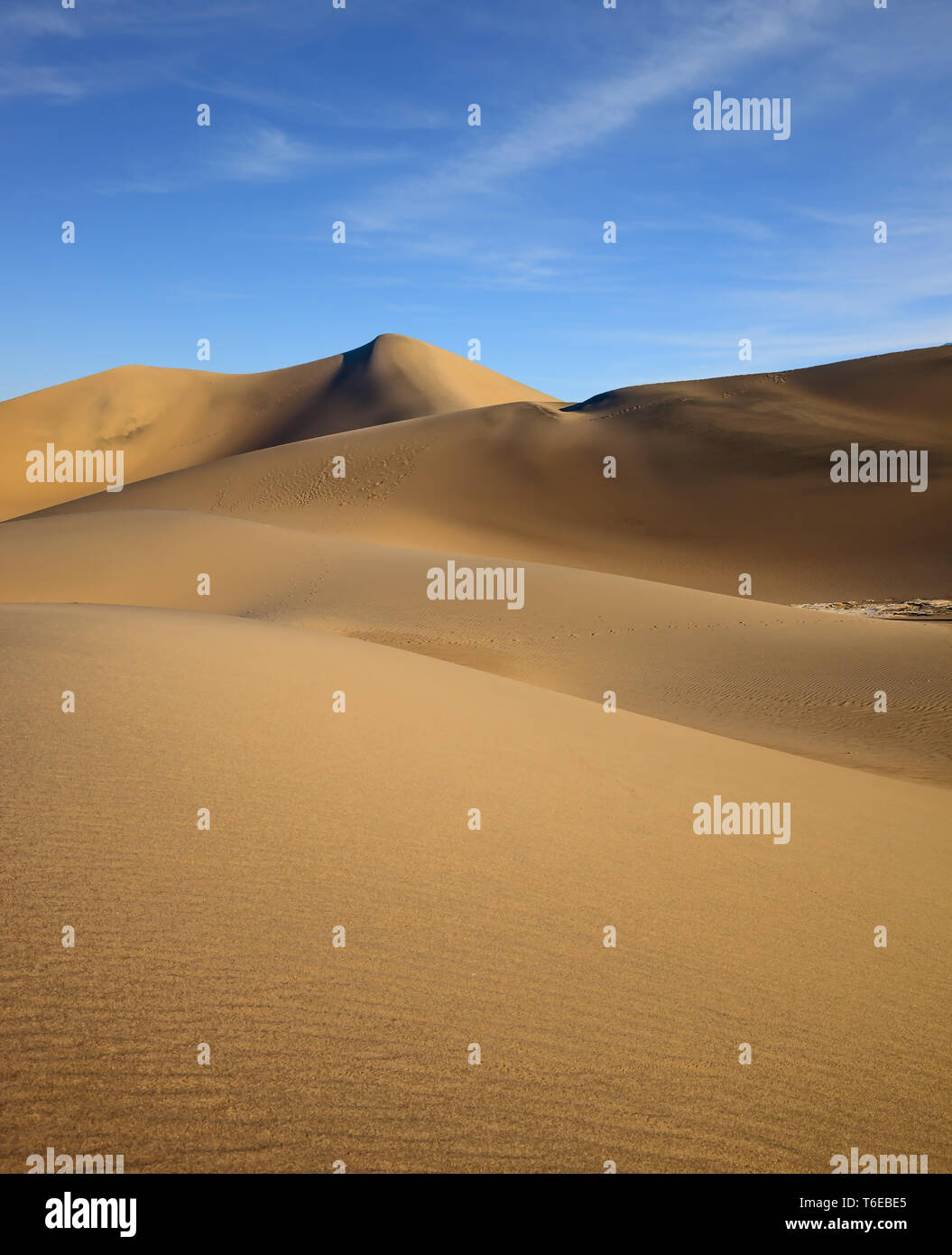The soft curves of yellow sand dunes Stock Photo