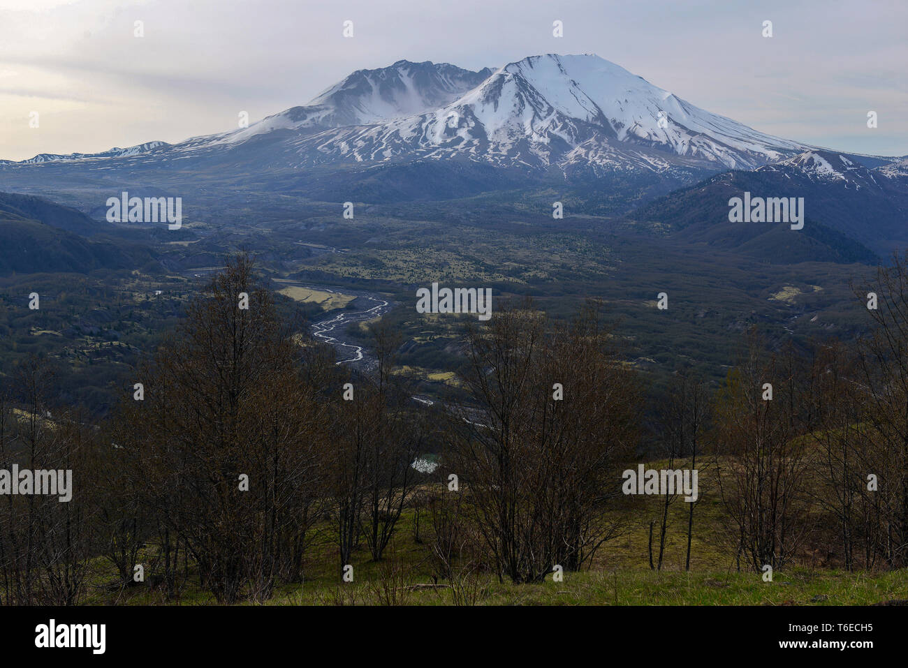 Mount Saint Helens volcano in the Cascade Mountains, Washington State ...
