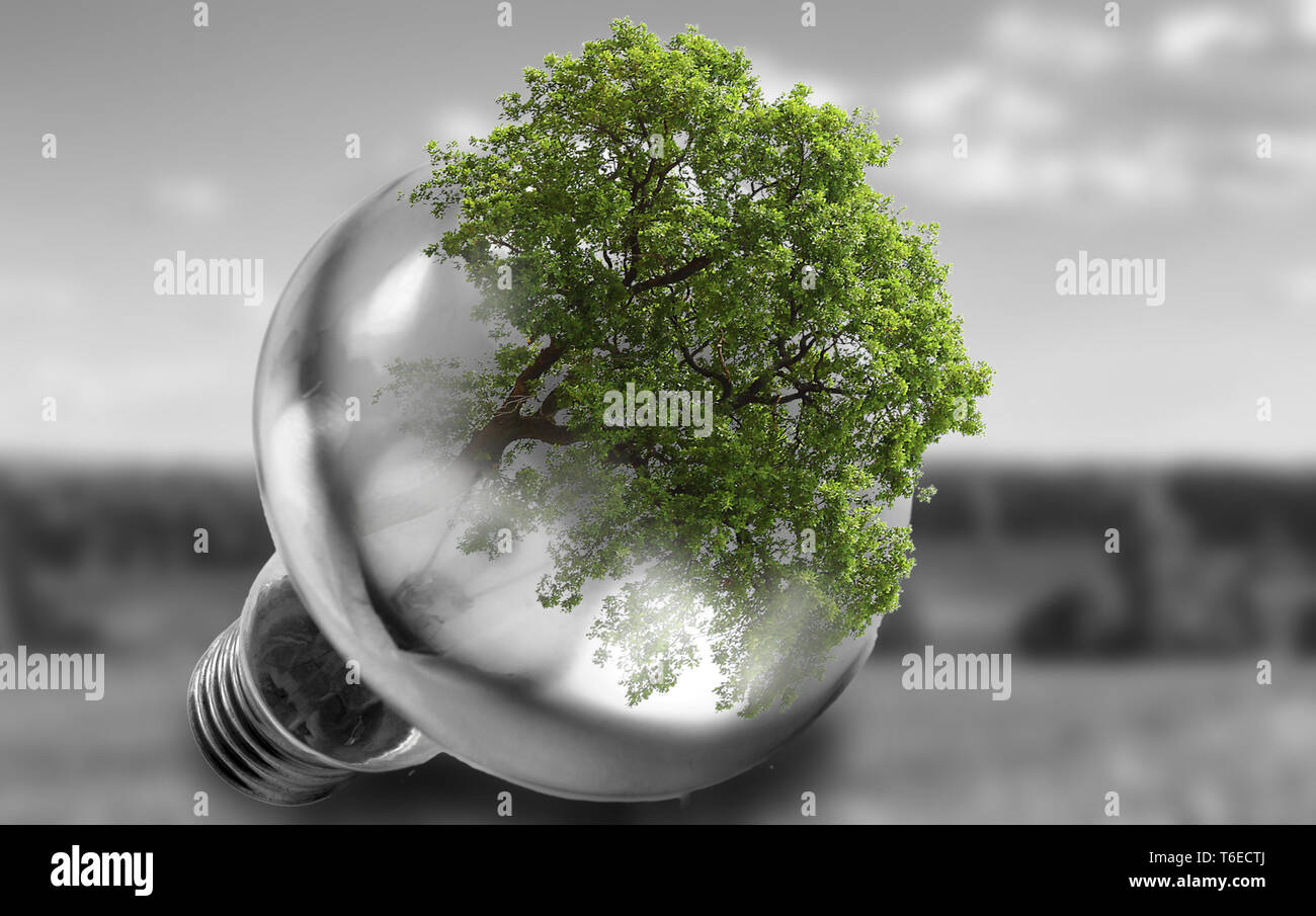 Double exposure light bulb and nature Stock Photo Alamy