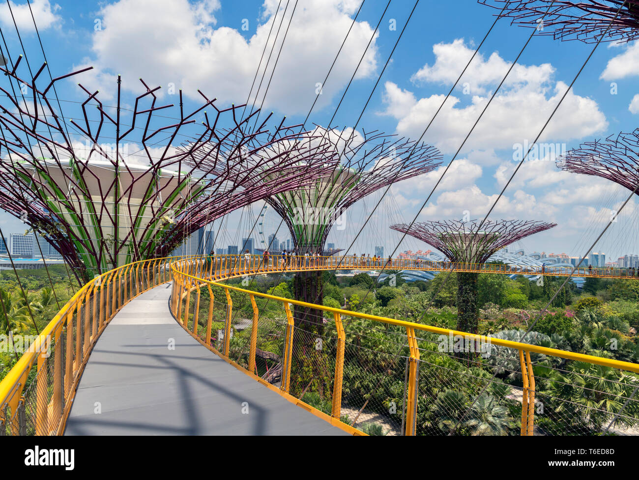 The OCBC Skyway, an aerial walkway in the Supertree Grove, Gardens by the Bay, Singapore City, Singapore Stock Photo