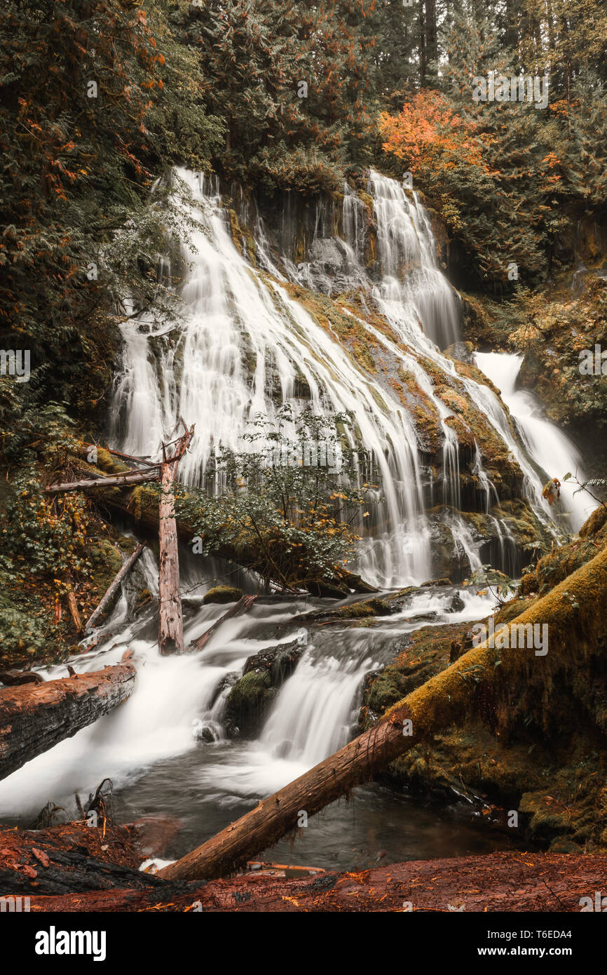 Panther Creek Falls, a Waterfall, at Gifford Pinchot National Forest in Washington State during