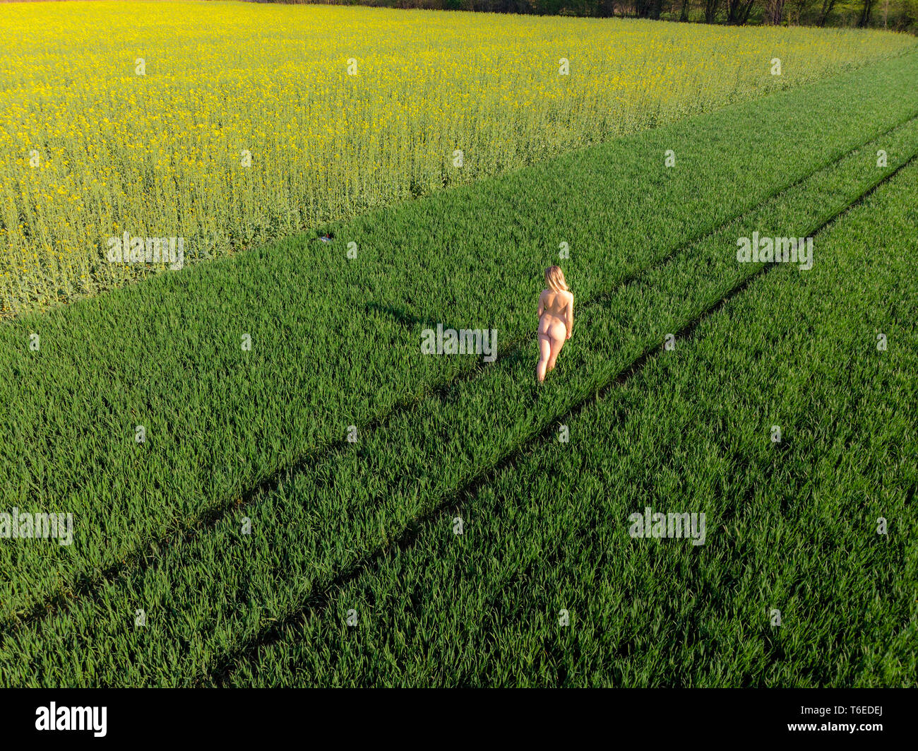 Naked girl in a farm fields Stock Photo - Alamy