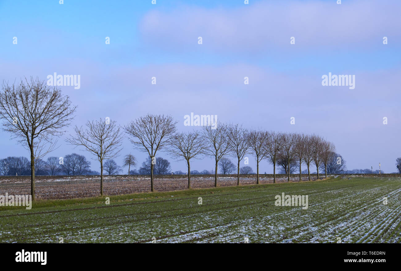Wintry landscape in the Münsterland Stock Photo