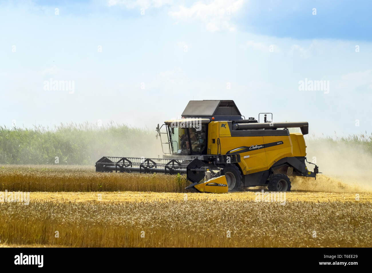 Combine harvesters. Agricultural machinery Stock Photo Alamy