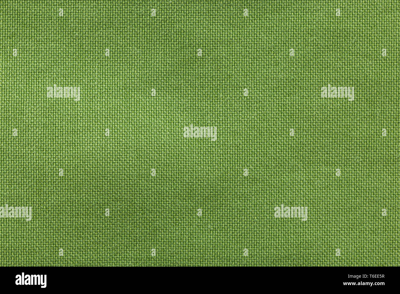 Dark olive green color hires stock photography and images Alamy