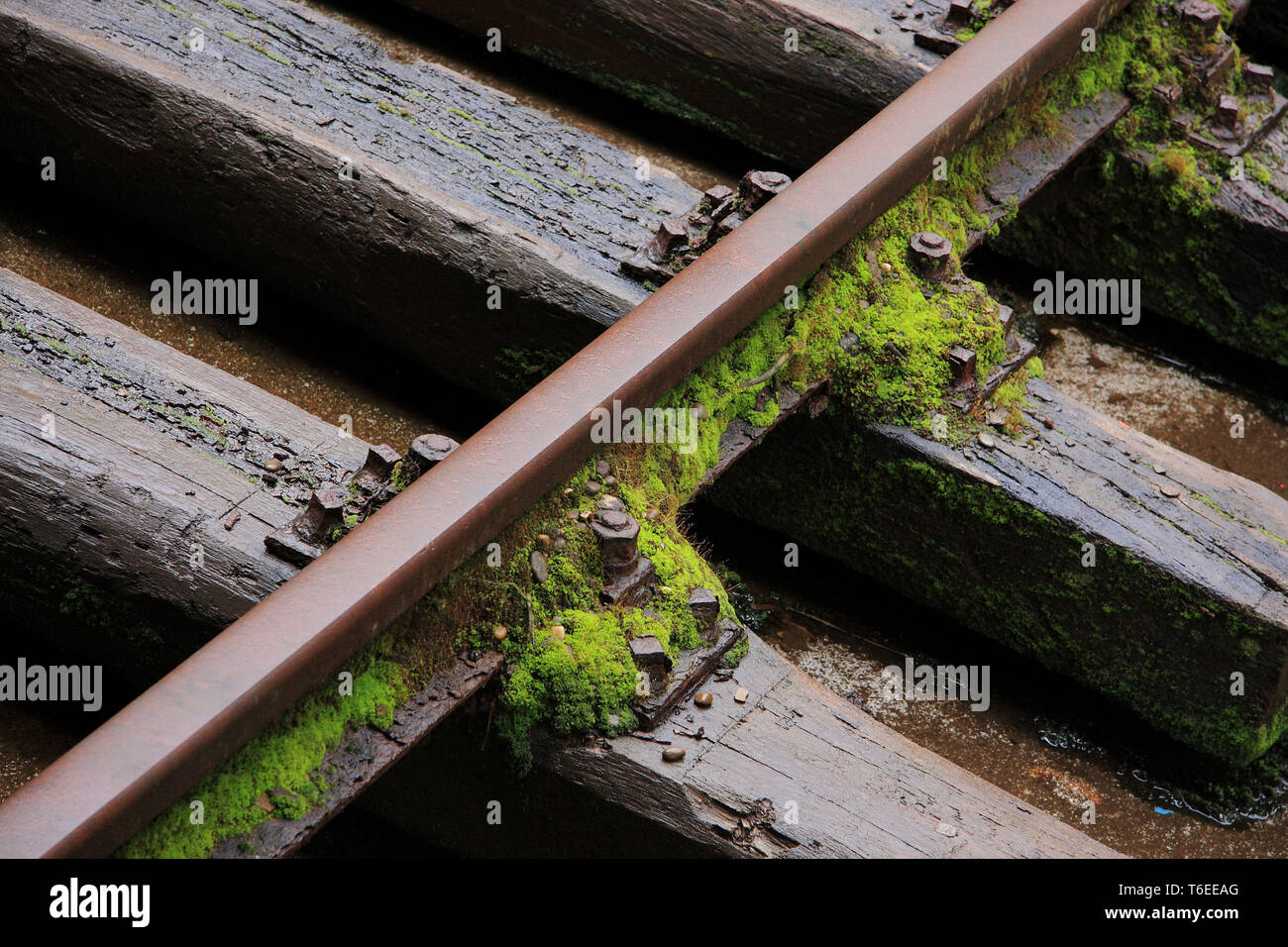 Mossy railtrack Stock Photo