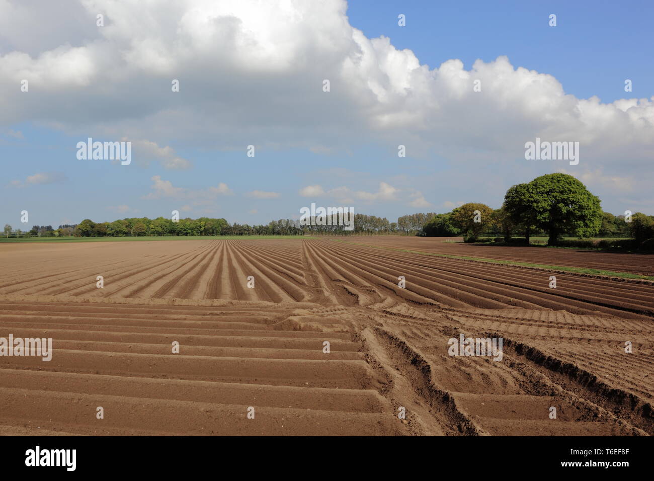 British farming landscape hi-res stock photography and images - Alamy